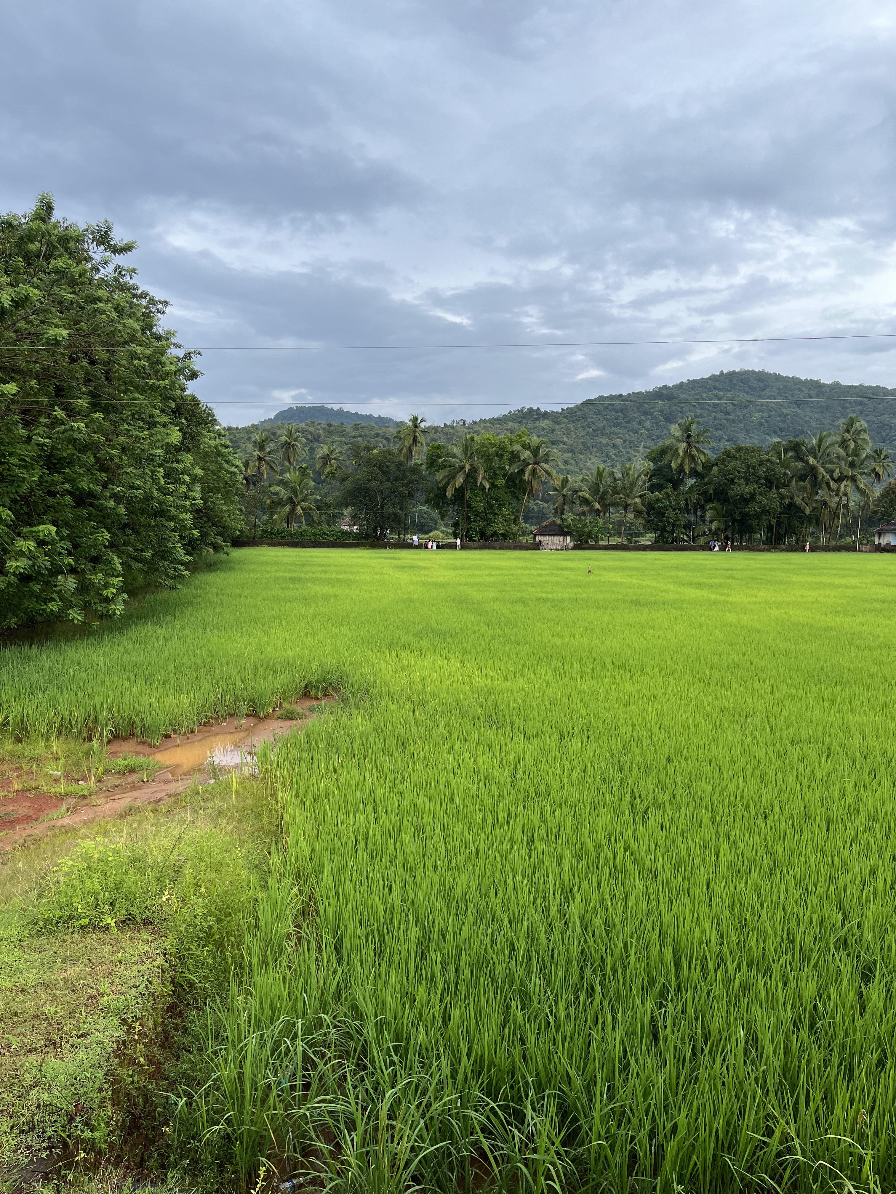 Udupi photo