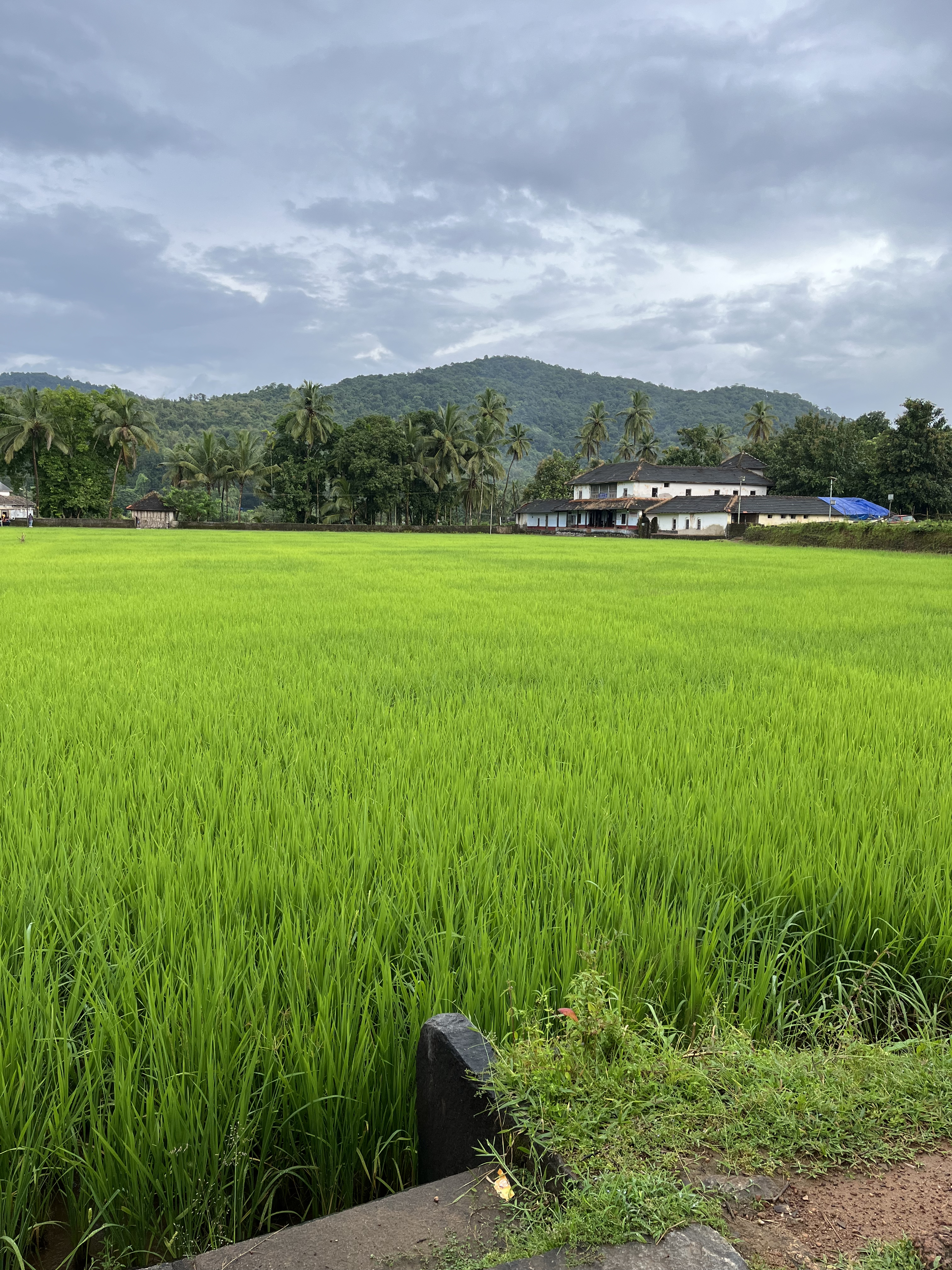 Udupi photo